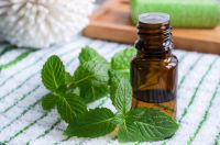 PEPPERMINT ESSENTIAL OIL