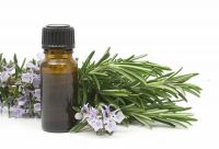 TEA TREE ESSENTIAL OIL