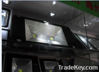 Sell New Products Anti-seawater IP67 Outdoo Floodlight 100W LED