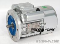Single-phase Electric Motor