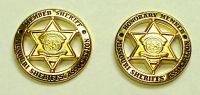 lapel pin & metal badges; badges