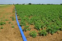 Sell Lay Flat Hose For Drip Irrigation