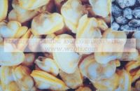 Sell The raw material of short necked clam