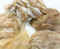 Sell Dried fish fillet