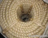 Sisal rope in coil