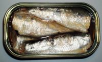 Sardines in oil