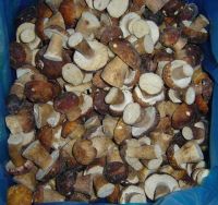 mushroom, nameko, boletus edulis, shiitake