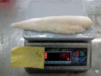 China local Pacific cod fillets