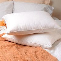 Sell feather pillow