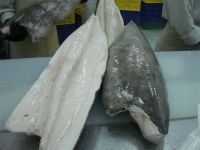 Oilfish fillet (frozen) and seafoods.