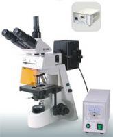 PF-303Y Advanced Fluorescent Microscope