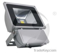 Sell 100W Floodlight LED Project Lights