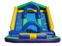 Sell Inflatable Slide (H4-38)