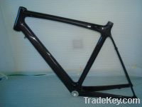 carbon racing frame