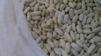 Sell White Kindey Beans