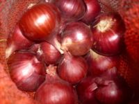 Sell Red Onion