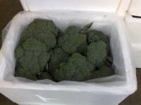 Sell Broccoli