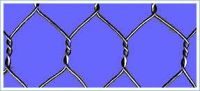 Sell Hexagonal Wire Mesh