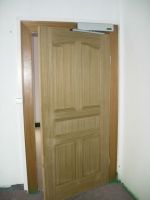 China swing door opener