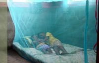 Sell mosquito bed net