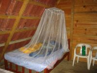 Sell insecticide-treated mosquito netting
