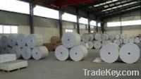 Sell ivory board coated paper