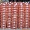 Sell Copper welded wire mesh