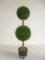 Sell  Boxwood Ball Topiary