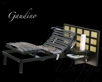 Sell Gaudino electric bed