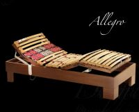 Sell Allegro electric bed