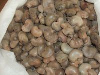 Raw cashew nut