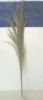 Sell -natural grass broom