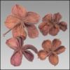 Sell- dried flower land lotus flower & petal