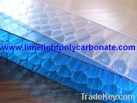 polycarbonate honeycomb sheet alveolate polycarbonate sheet alveolar