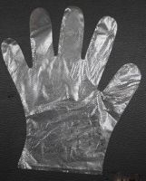 Sell PE Disposable Glove,Disposable Plastic Glove
