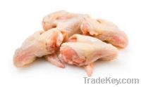 Chicken Wings For Sale Top Grade