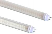 LED T8 Tube light