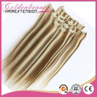 Hot Selling Brazilian Clip In Hair Extension
