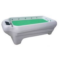 Multifunctional Hydrotherapy Bed