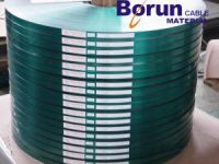 Copolymer Coated Steel Tape