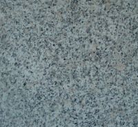 Sell China G623 granite