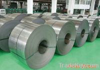 Colled rolled steel sheet