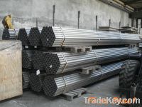 Sell Stainless seamless steel tube