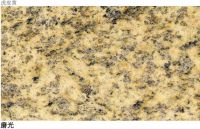 Sell Tige Skin Yellow Granite