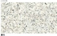 Sell SD White Granite