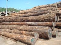 Tropical Hardwood Round Logs Offer
