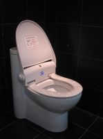 WING sanitary toilet seat