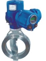 Motorized High Performance Butterfly Valve