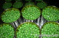 Sell 400g canned fresh green peas in 884# cans
