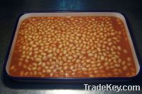 Sell  canned soy beans in tomato sauce